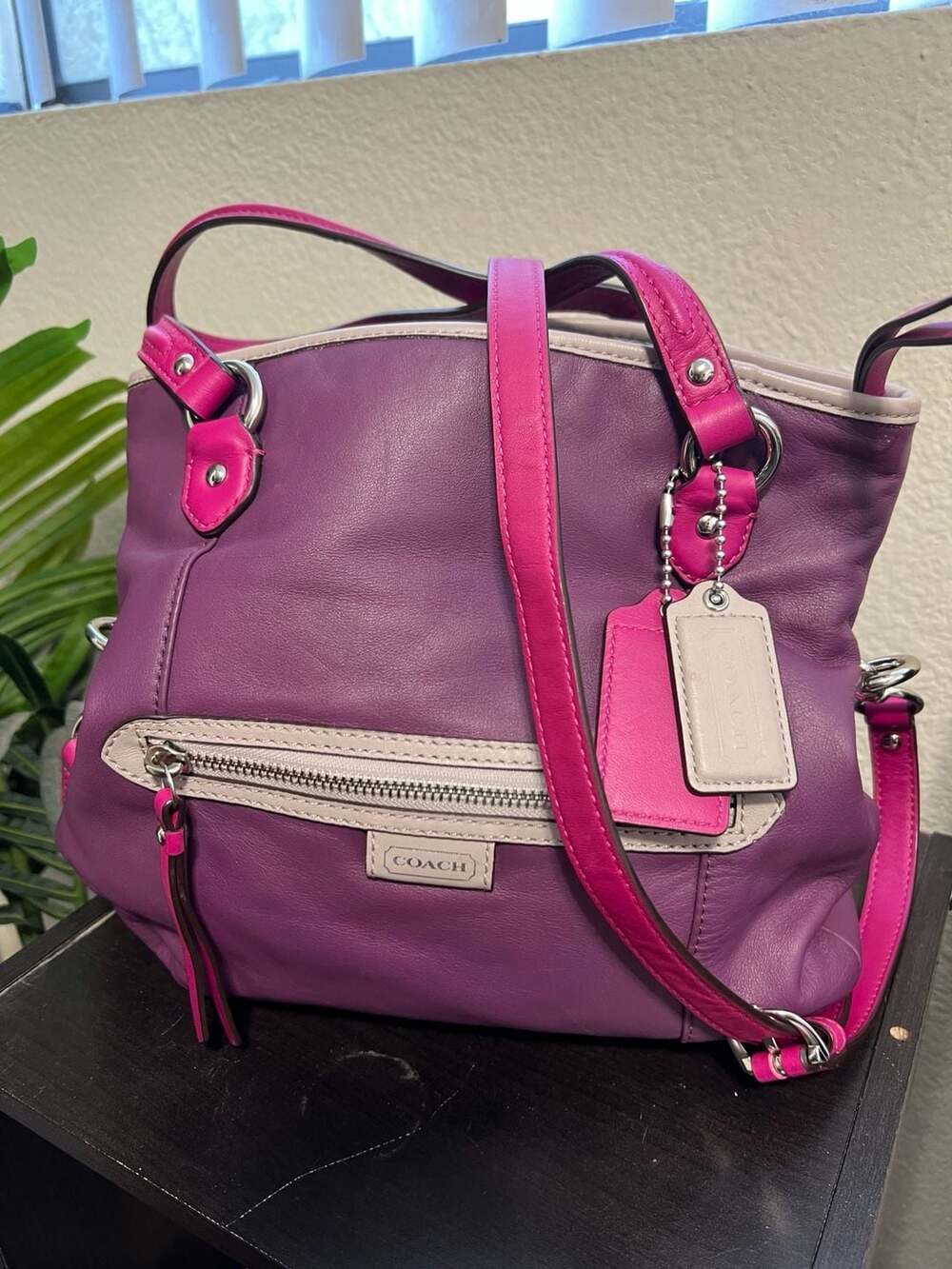 Coach Daisy Leather Multicolor Crossbody Shoulder Bag